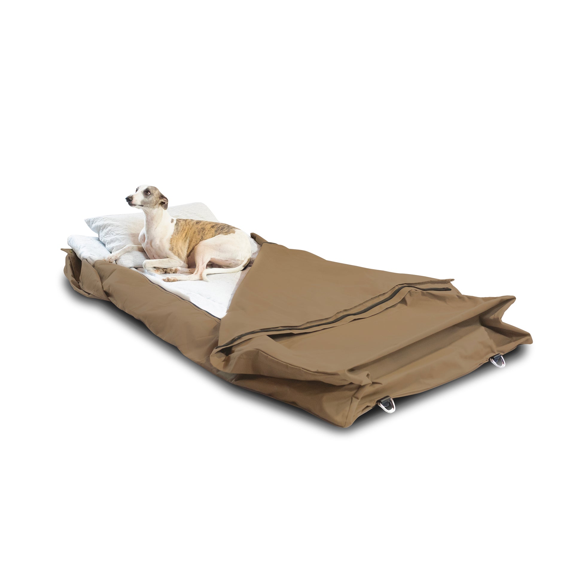 Canvas Swag Unrolled with a dog.